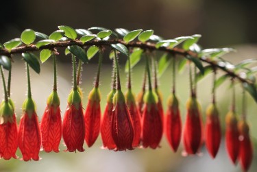 珠海斗门区9私人快速借钱网，轻松解决资金难题