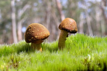 珠海斗门区9私人老板放款：轻松融资的秘密通道